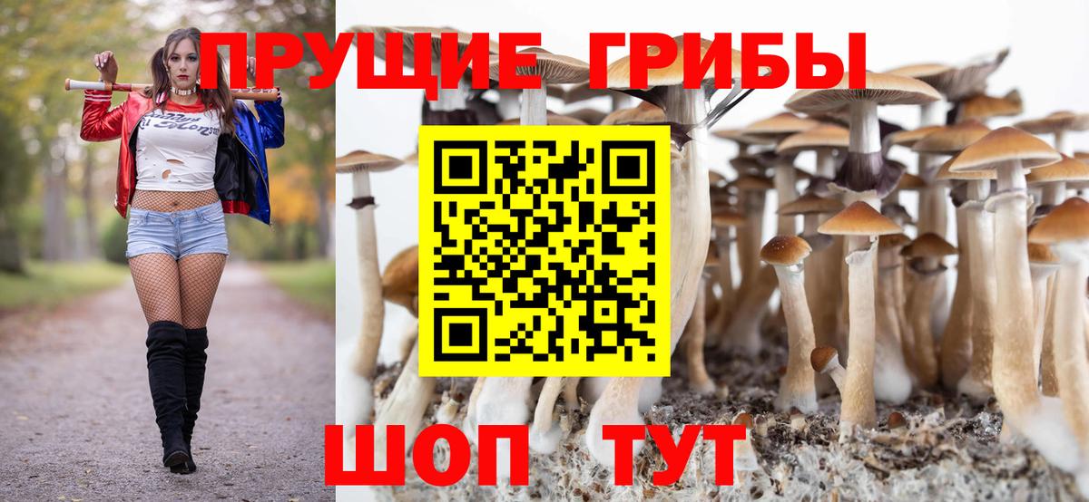 Галлюциногенные грибы GOLDEN TEACHER Гуково